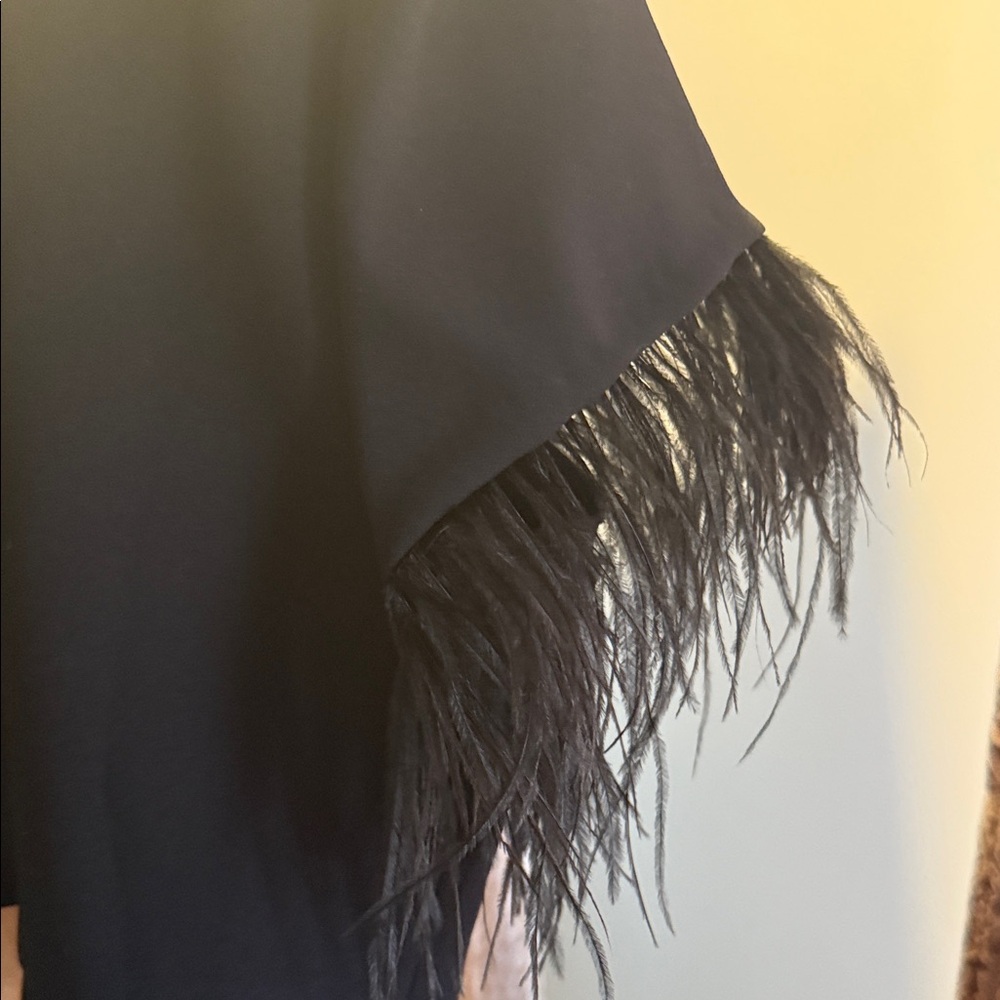 SLAY!!! Black Feather Sleeve Crop Jacket - Picture 8 of 12
